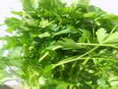 Italian Parsley