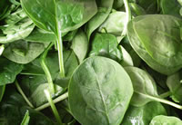 Spinach